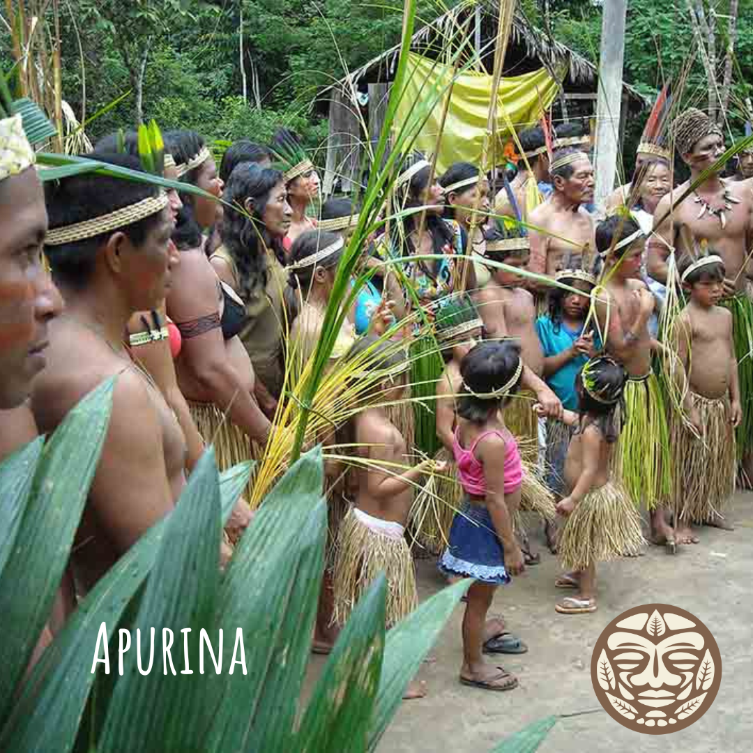 Apurina (Awiry) People

Picture Credit:
Apurinã Indians (author: Rogério Link, 2010)
