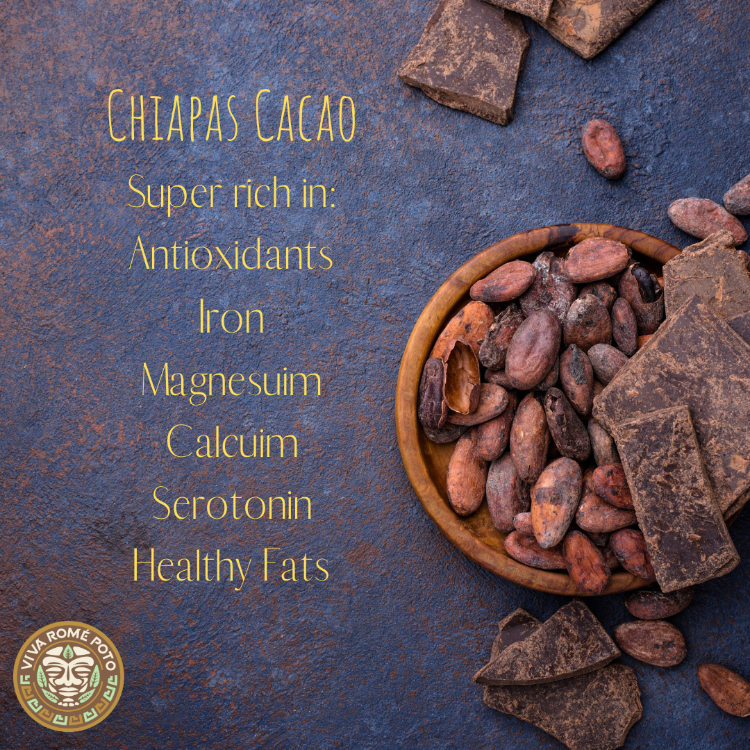 Chiapas Cacao with bowl of cacao beans and chocolate pieces on a dark background