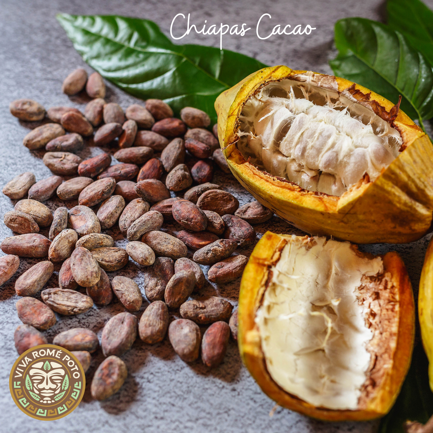 Handcrafted Ancient Heart Maya Ceremonial Cacao block from Chiapas, Mexico, traditionally produced by Sister Yazmin.