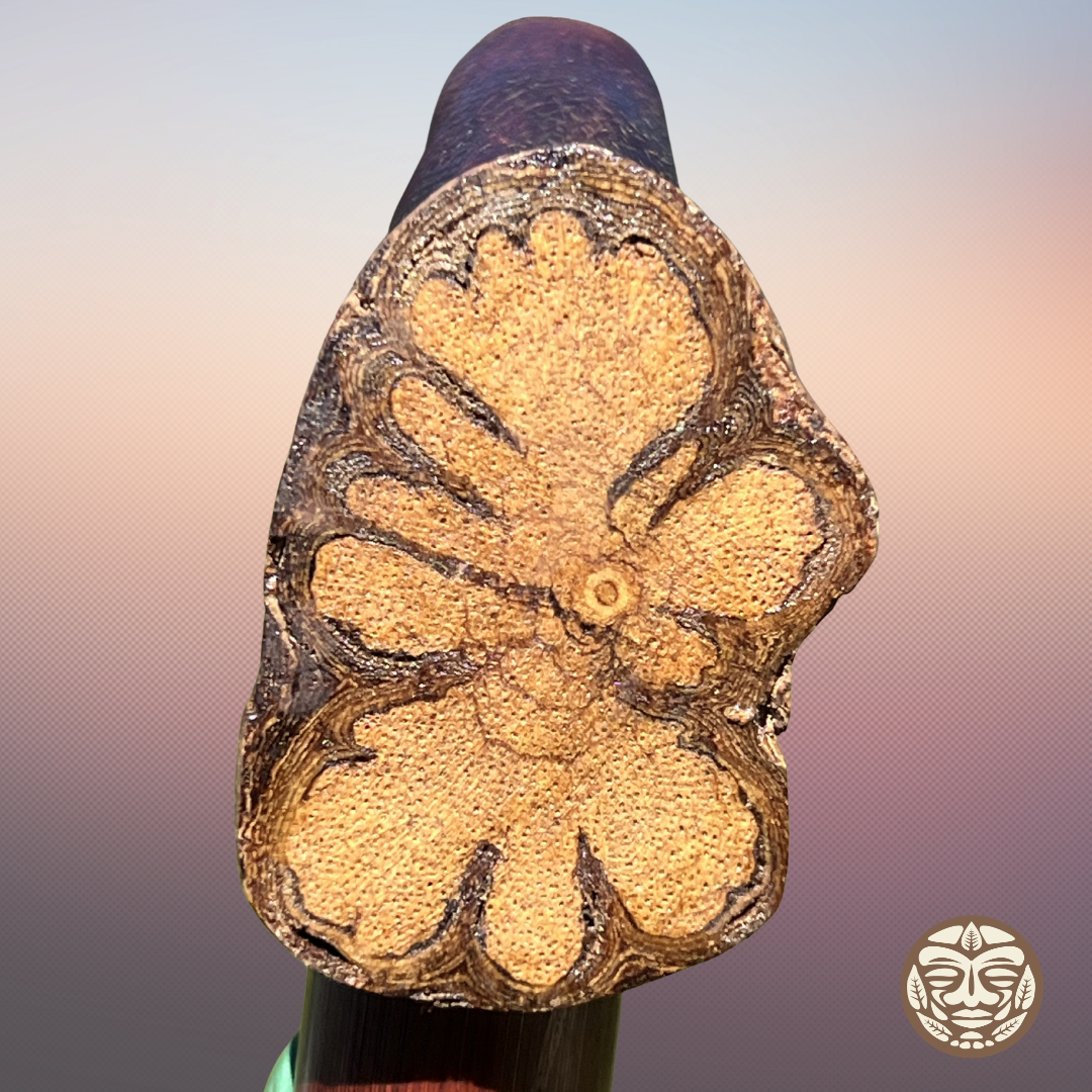 Dark Bamboo Ayahuasca Tepi