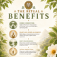 Samauma Rapé Ritual Benefits