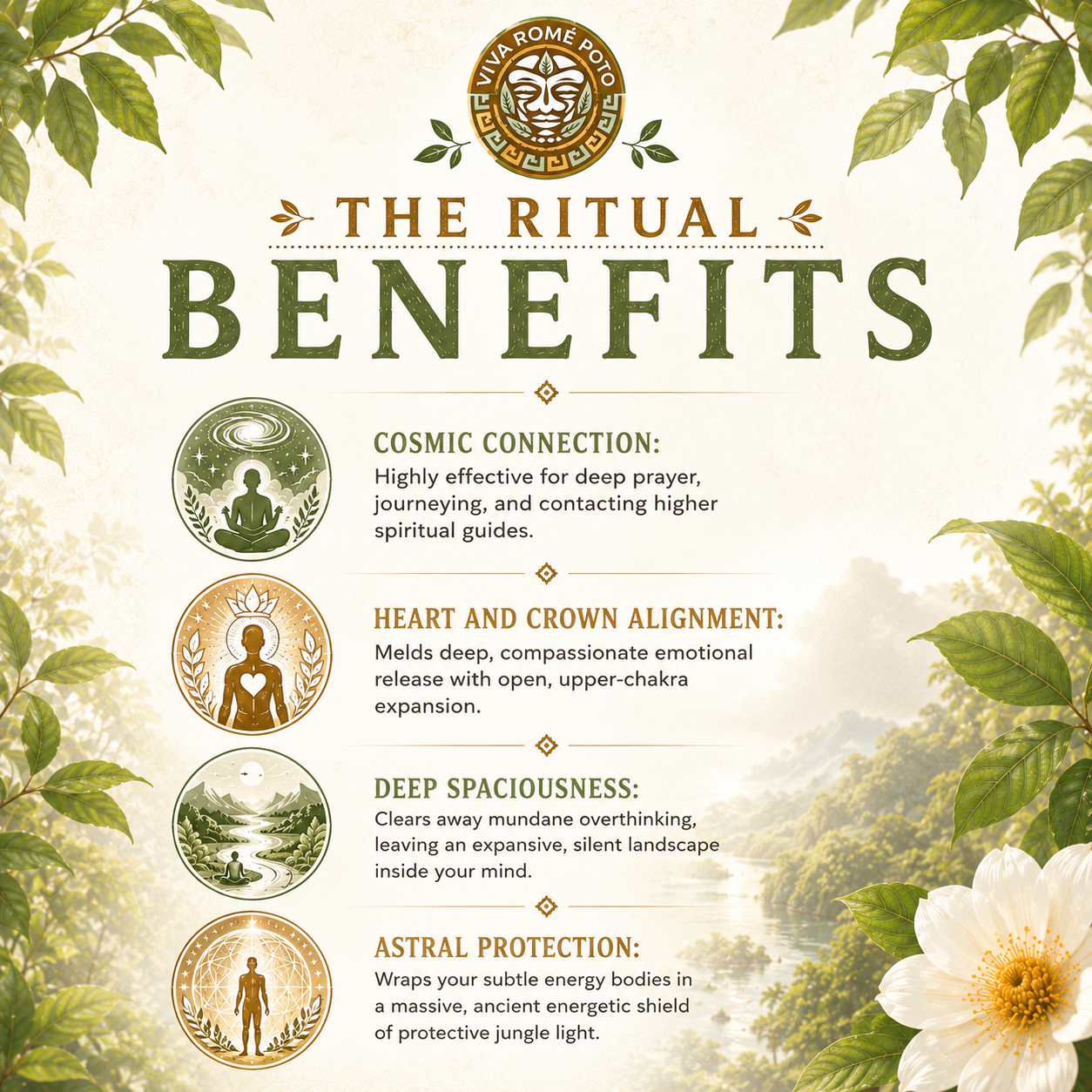 Samauma Rapé Ritual Benefits