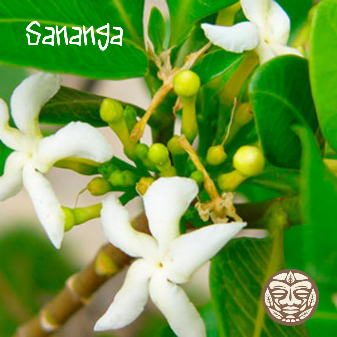Sananga Plant