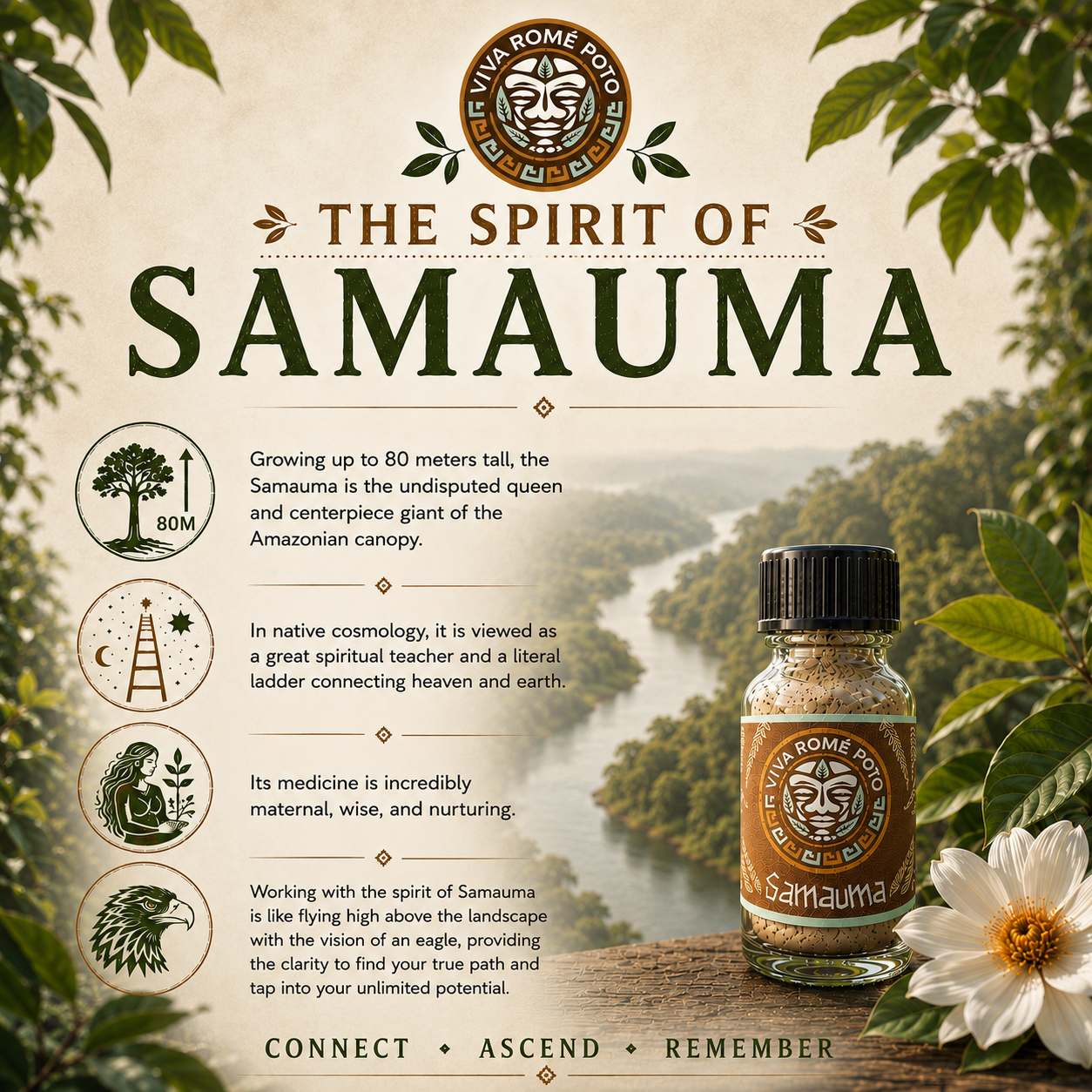 The Spirit of Samauma